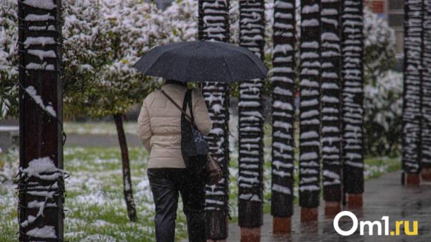 Опубликована дата, когда в Омске выпадет снег