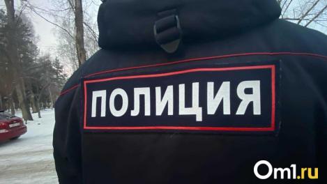 Нападение на 11-летнюю девочку в Омске: что выяснила полиция?