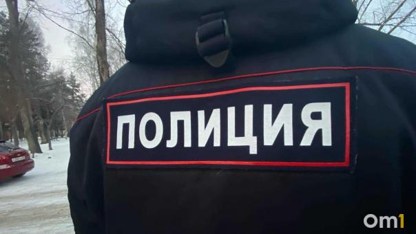 Нападение на 11-летнюю девочку в Омске: что выяснила полиция?