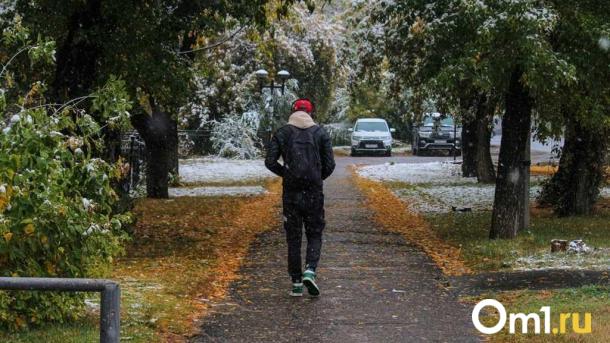 В начале ноября омичей ждёт неприятный сюрприз от погоды