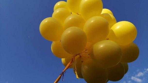 Елена Драпеко: рецепт оптимизма в 77 лет — любовь и учеба