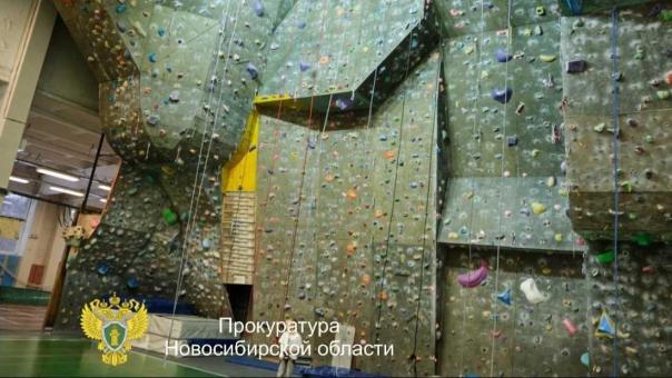 Владелица смертельного скалодрома в Новосибирске получила срок