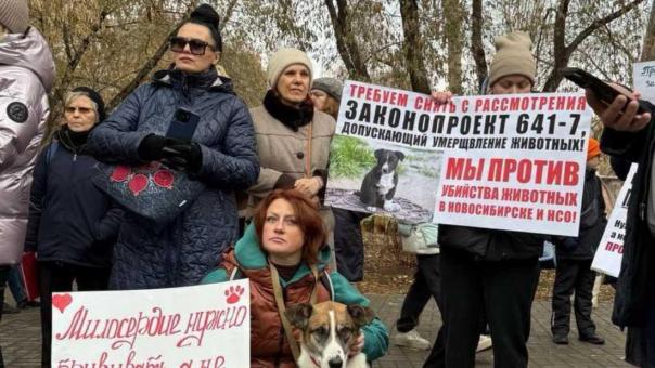 Митинг против закона об эвтаназии бездомных животных проходит в Новосибирске