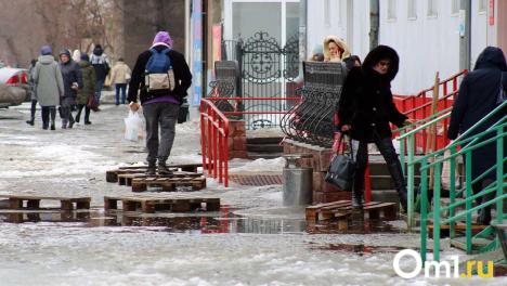 В Омскую область нагрянут аномальные холода и снегопады