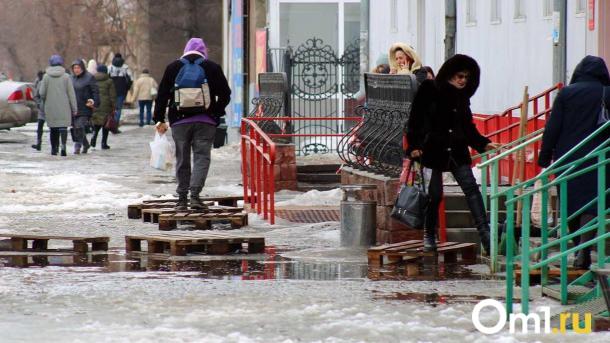 В Омскую область нагрянут аномальные холода и снегопады