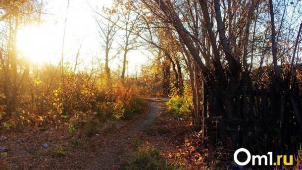 Последние дни октября подарят омичам резкое повышение температуры