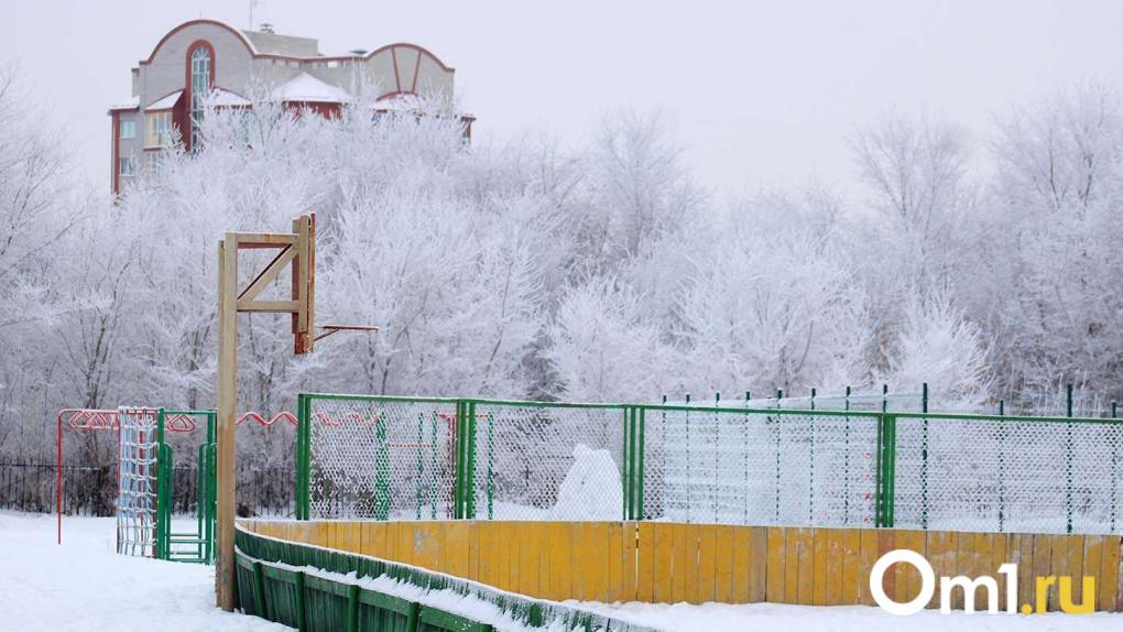 Мощное похолодание и метель накроют Омск: готовьтесь к снежному апокалипсису