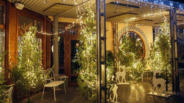 Праздничный калейдоскоп программ: где омичи могут отметить Новый год?