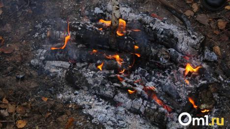В МЧС прокомментировали ситуацию с горящим полем у трассы под Омском