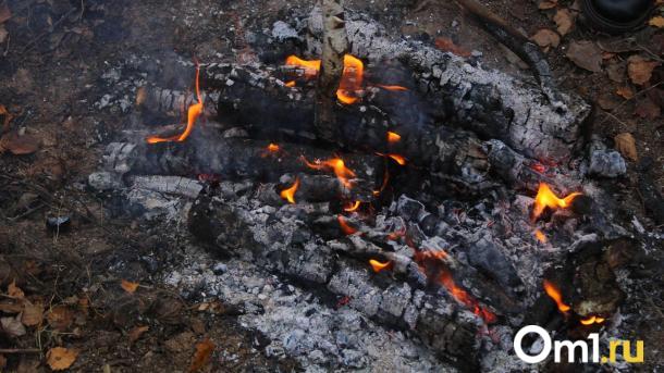 В МЧС прокомментировали ситуацию с горящим полем у трассы под Омском
