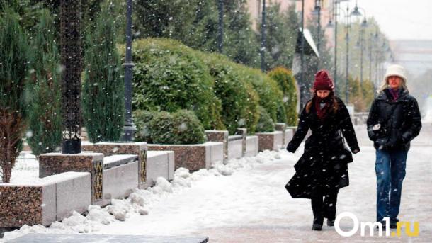 Опасная погода надвигается на Омск: жителей предупредили о мощной метели