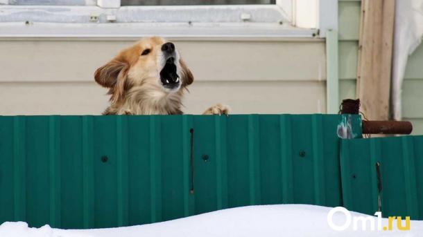 В элитном посёлке Омской области выявили смертельную болезнь