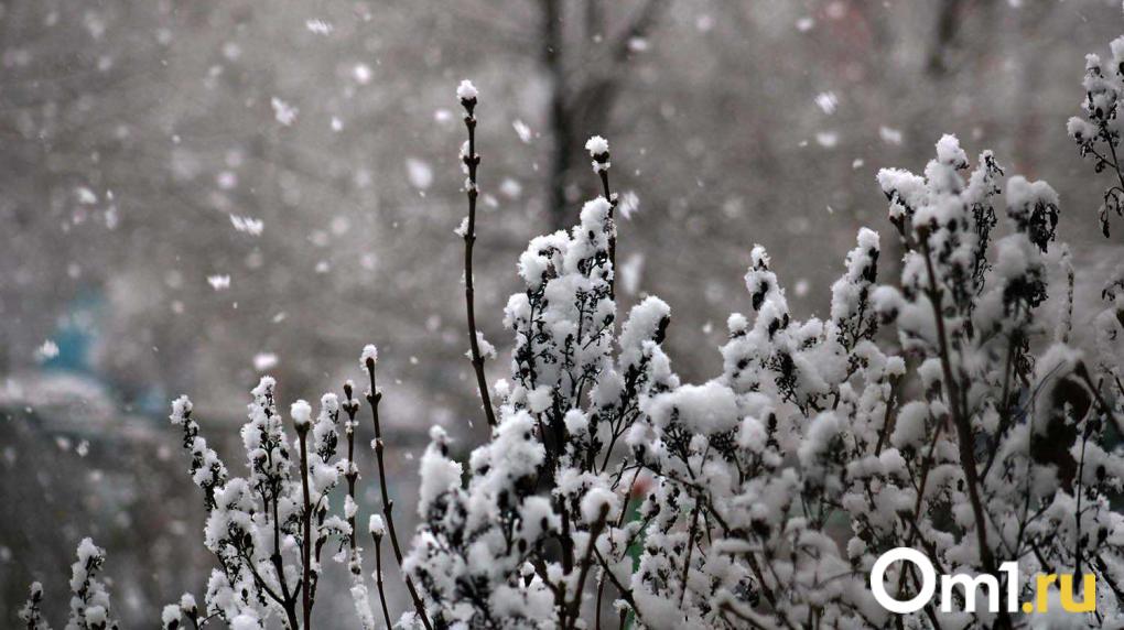 Сначала жара, потом снег: новосибирцев ждёт резкий перепад погоды