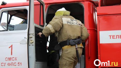Из-за крупного пожара в Омской области пострадали два человека