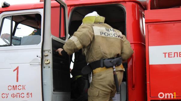 Из-за крупного пожара в Омской области пострадали два человека
