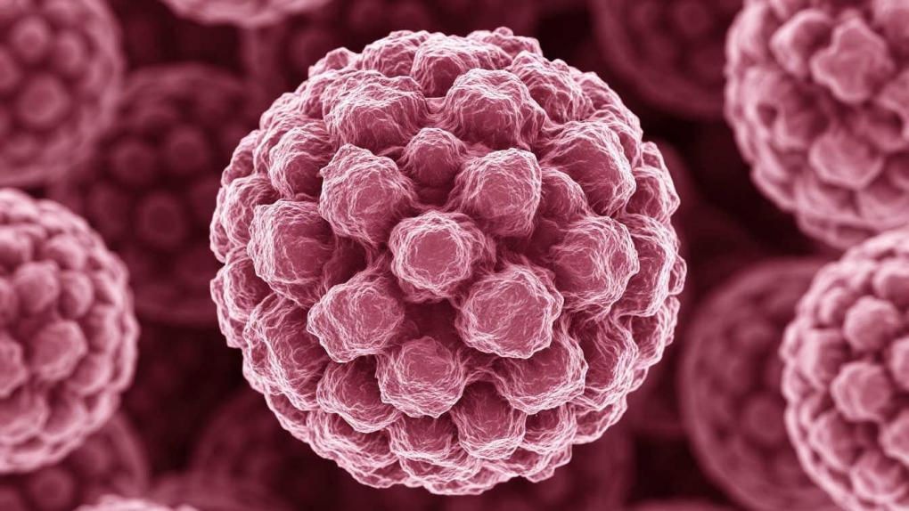 В России запущено производство собственной вакцины против вируса папилломы человека