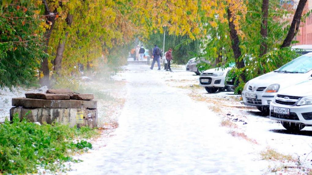 Синоптики спрогнозировали тёплый ноябрь в Новосибирской области