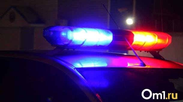 День жестянщика: за сутки в Омской области произошло больше 100 аварий