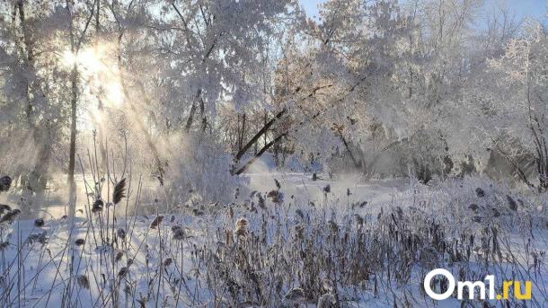 От -25 до +1: в Омской области ожидаются аномальные скачки температуры