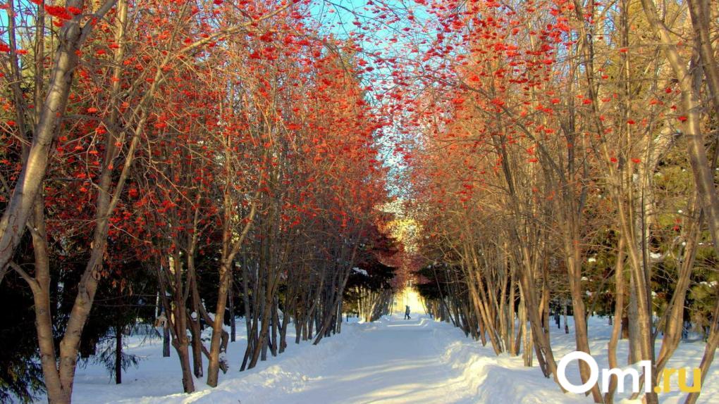 До –18 градусов: синоптики предупредили новосибирцев о ночных морозах