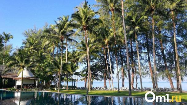 Ни одного свободного места: из Омска запустили первый чартерный рейс на Пхукет