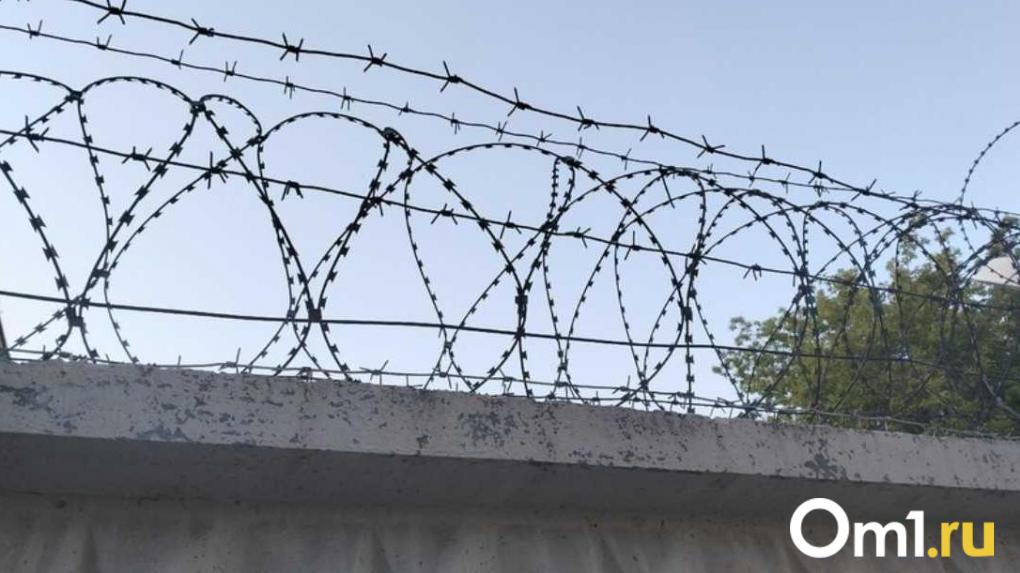 В Новосибирске перед судом предстанет лжезаявительница