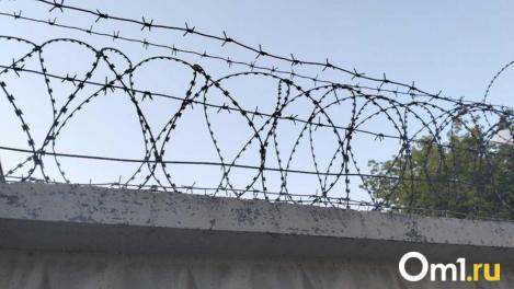 В Новосибирске перед судом предстанет лжезаявительница