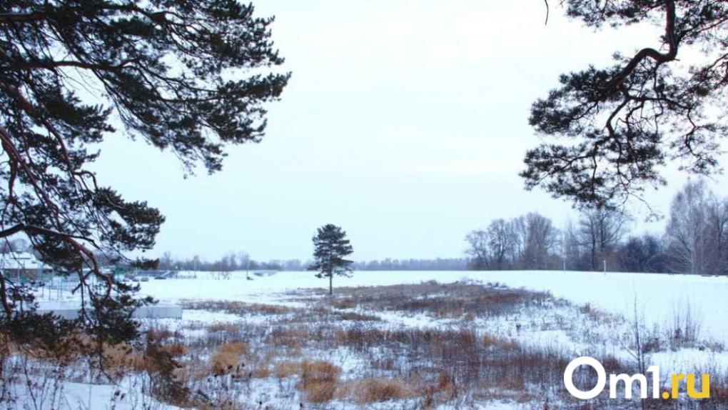 Самый холодный день декабря за всю историю метеонаблюдений назвали в Новосибирске