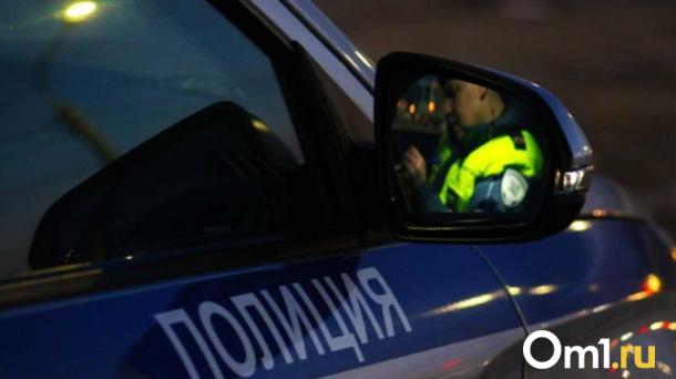 Мигранта сбившего девочку и скрывшегося с места ДТП, поймали в Новосибирске