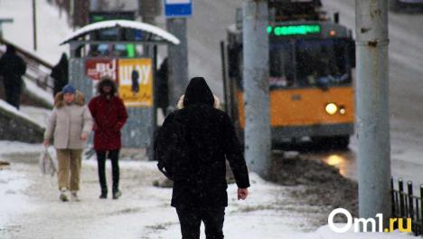 Поиски продолжаются: за месяц в Омской области пропали и до сих пор не найдены 8 человек