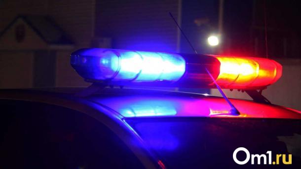 В Омской области пьяный водитель сбил женщину на обочине