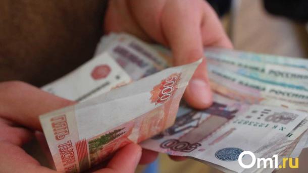 Попытка устроиться на работу в Германию обернулась для омича уголовным делом