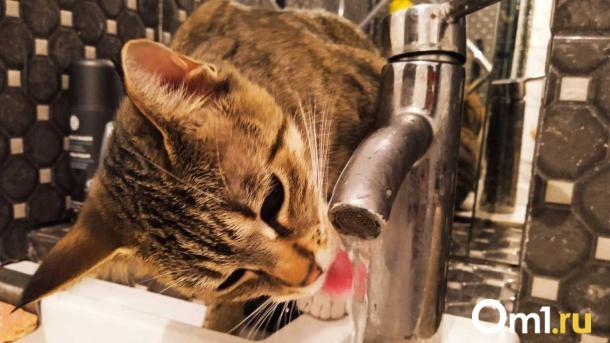 В Омске три дня будут отключать холодную воду. Публикуем список адресов