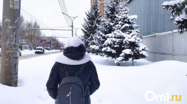 Цены на такси взлетели в Новосибирске из-за погоды