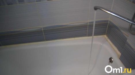 Спасли из ванной: новосибирские службы дважды выезжали на нестандартные вызовы