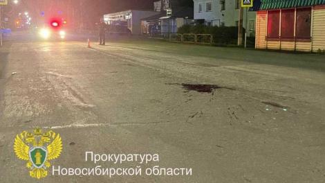 2 года тюрьмы и 700 тысяч рублей штрафа получил водитель за смертельное ДТП под Новосибирском