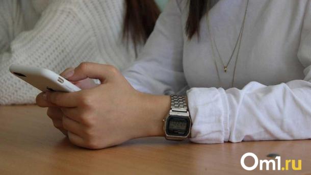 Псевдопродавцы на маркетплейсах похищают данные омичей с помощью фальшивых ссылок