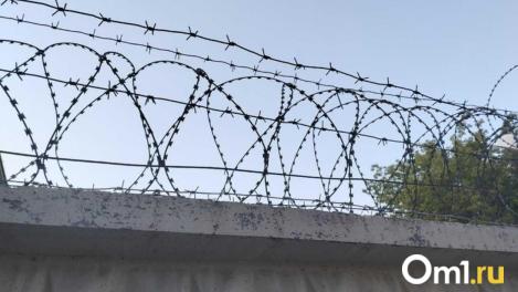 Суд арестовал жителя Новосибирской области за размещённые в соцсети фото торта с воровской символикой