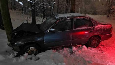 Два человека пострадали в ДТП с наездом на дерево в Новосибирске