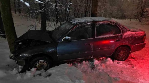 Два человека пострадали в ДТП с наездом на дерево в Новосибирске