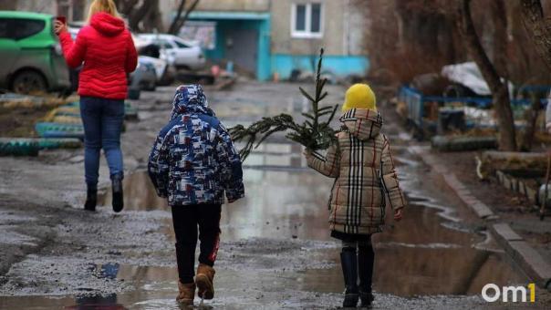 Морозные дни в Омске сменятся дождями и слякотью
