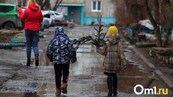 Морозные дни в Омске сменятся дождями и слякотью