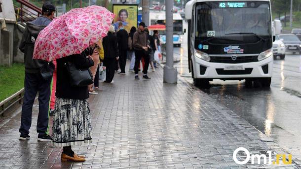 Две трети омских безбилетников остаются безнаказанными