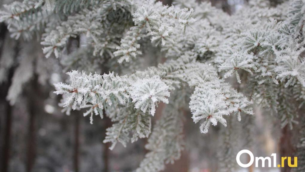 В Новосибирске 11 ноября ударят морозы до –15 градусов