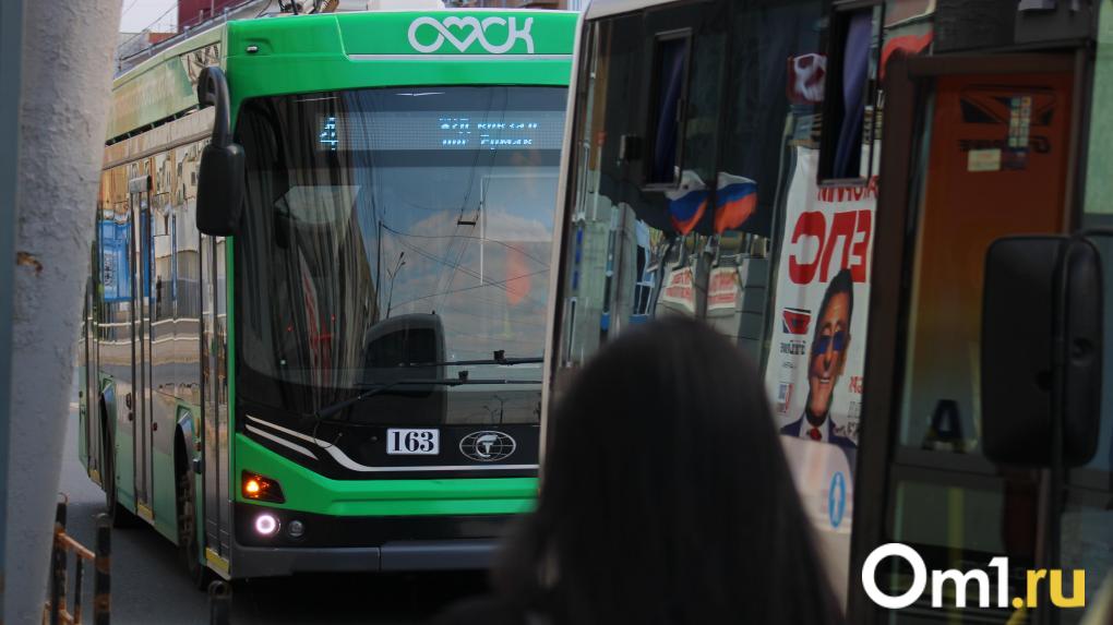 В Омске из-за нехватки средств приостановили перекраску общественного транспорта