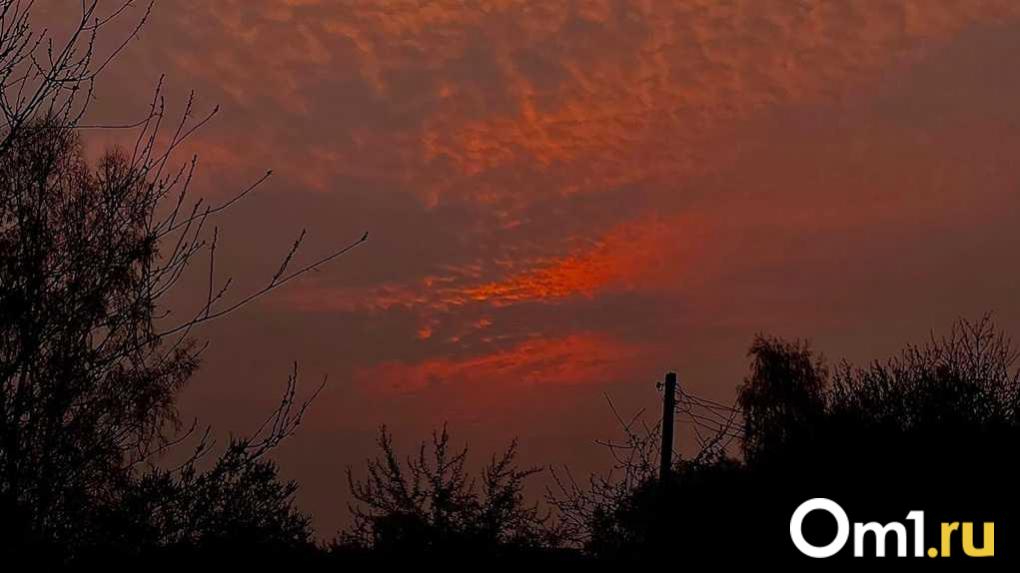 Достигла уровня G5: на Омскую область обрушилась сильнейшая магнитная буря