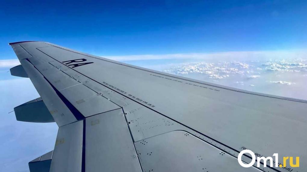 Самолёт рейса Москва—Омск вынужденно сел в Тюмени