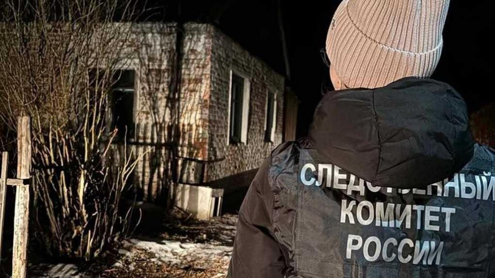 В Омской области женщина забила знакомую поленом — возбуждено уголовное дело