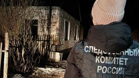В Омской области женщина забила знакомую поленом — возбуждено уголовное дело