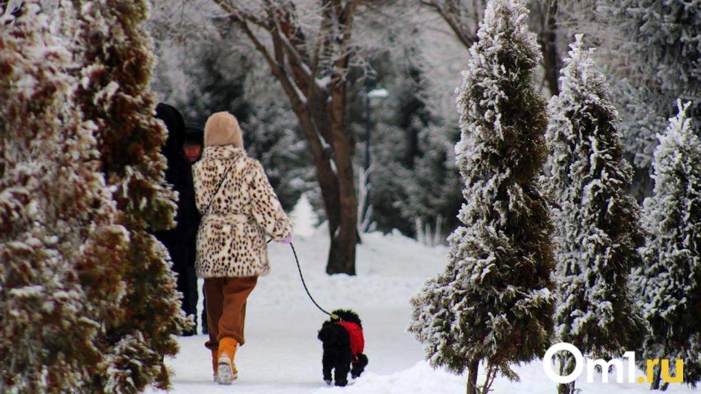 От -21 до +6: в Омске к выходным наступит резкое изменение погоды